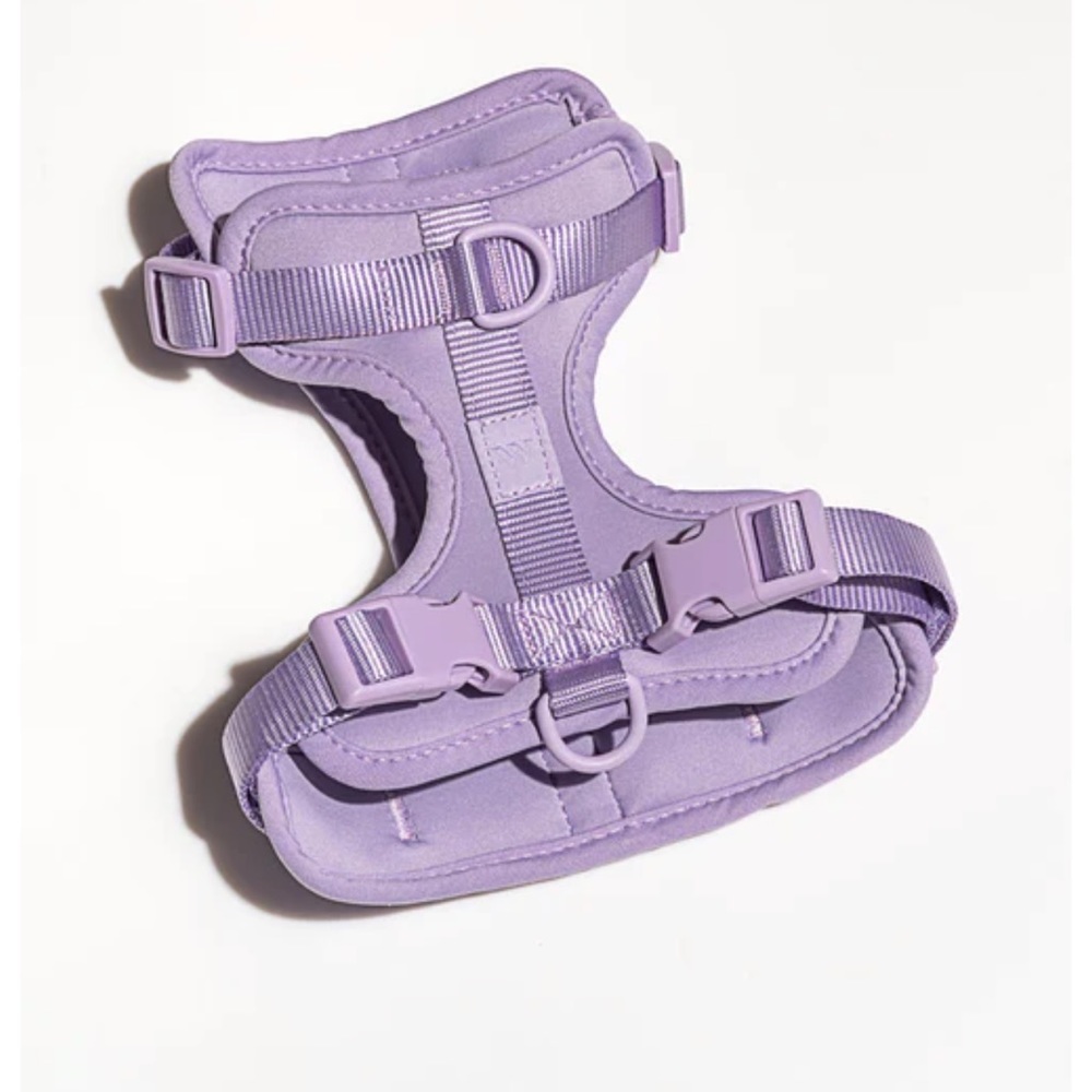 Wild One Purple Harness